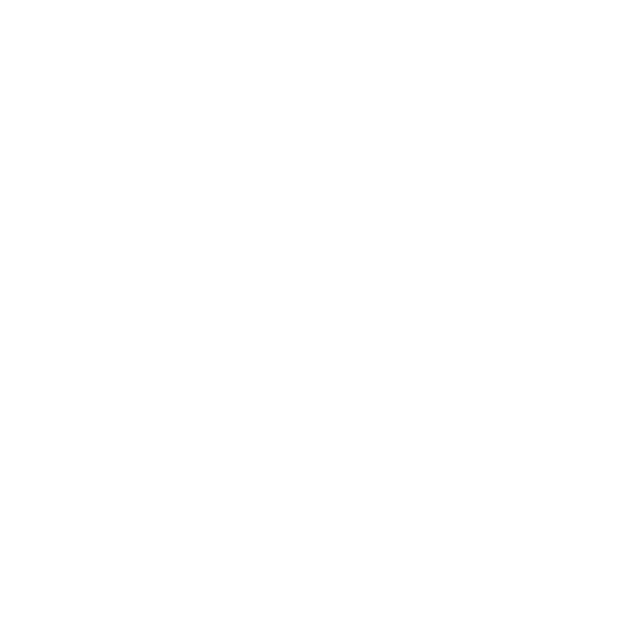 tzNIC BALANCE INQUIRING